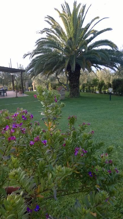 卡斯蒂里昂纳·德拉佩Agriturismo Valbona别墅 外观 照片